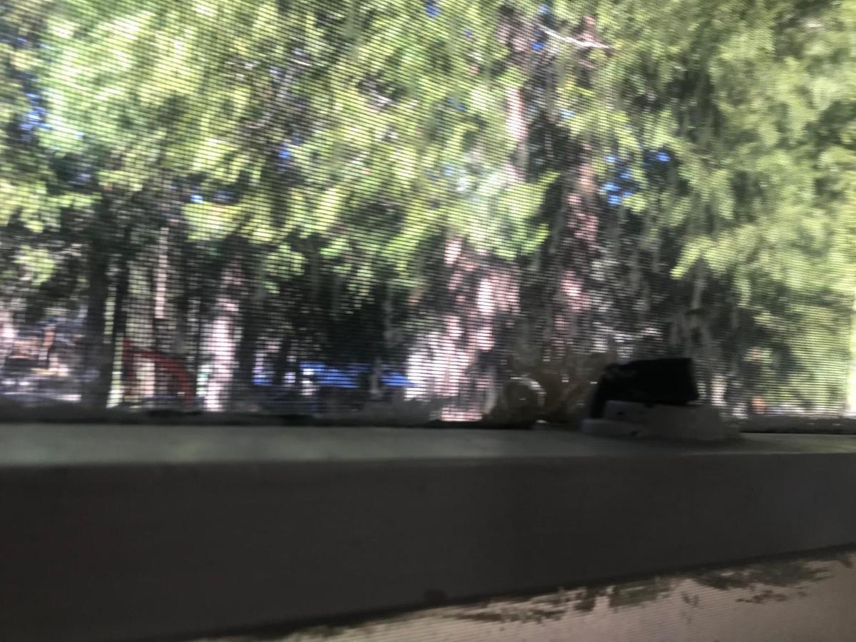 Dunsmuir Lodge 外观 照片