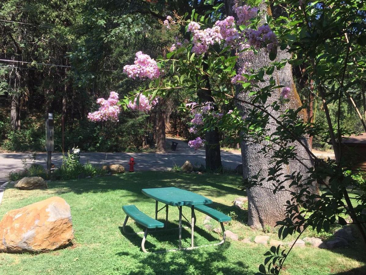 Dunsmuir Lodge 外观 照片